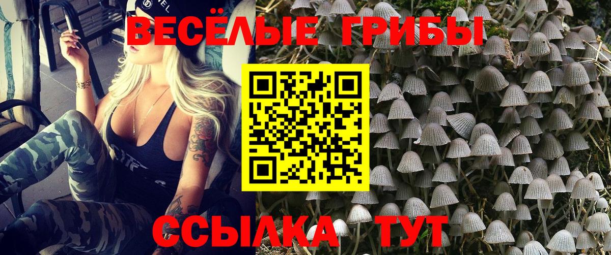 Галлюциногенные грибы Magic Shrooms  Галлюциногенные грибы Magic Shrooms  Бутурлиновка  Вход с VPN 